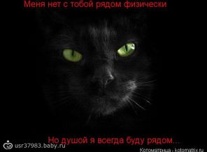 ахмилая