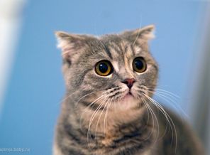 _DSC9364_web