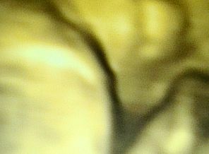 IMAG0112-1