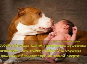 3csXb3AfR94