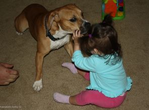 IMG_7655