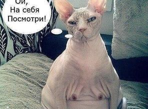 Весеннее солнышко