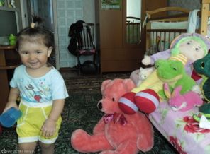 SAM_0342
