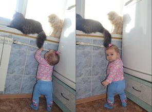 новый коллаж4