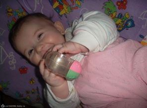 SAM_3688
