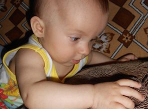 DSCN0956