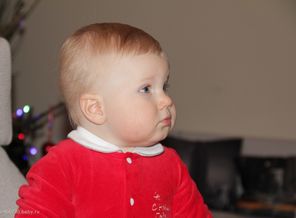 IMG_8490