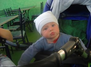 любимый лапулик)
