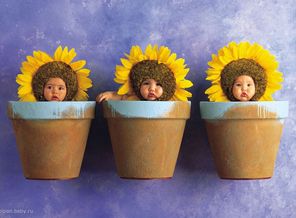 Cute-Baby-Flower-Pot-Wallpaper