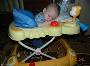 DSCN0349