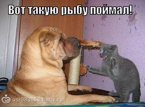 vPSsOu3Z9I4
