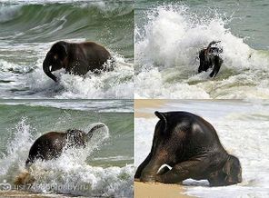 Так я себя веду на Море))))