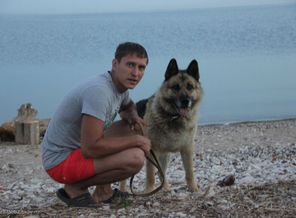 На берегу Камы гуляем с собакой