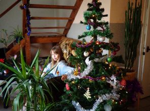 DSC00003 (8)