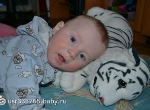 Максимка и тигра