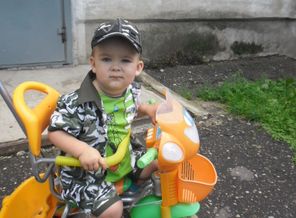 SAM_1017