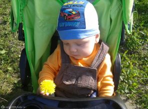 2012-05-18 17.49.54