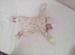 IMG_20121216_000201