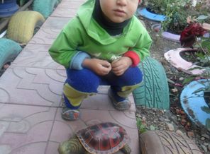 SAM_0764