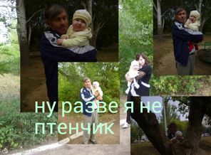 мой цыпленок