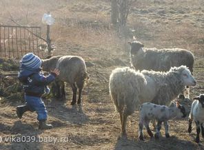 в гостях у бабушки