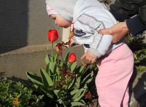 наши цветочки учимся нюхать -а не рвать)