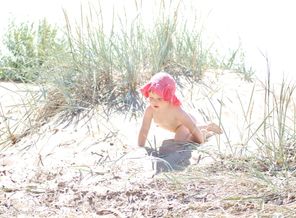 DSC_0558