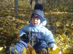 осенний лес