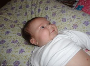 SAM_0354 (2)