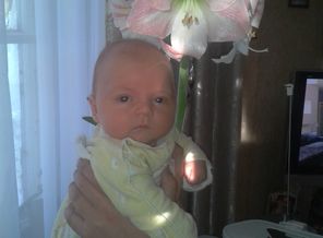 Сенечке 1 месяц
