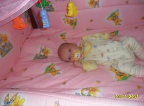 SAM_2156