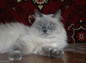 Изображение 044