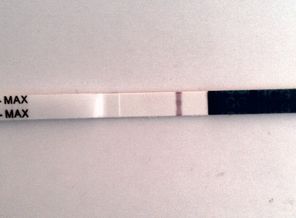 IMAG0857-1-1