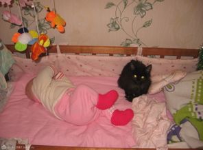 кошка всегда рядом )
