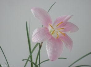 P6080182