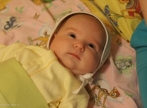 IMG_0856