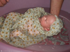Мы любим купаться