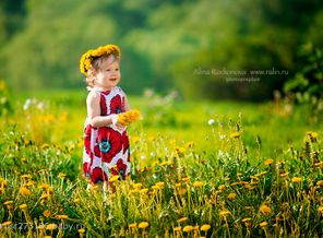 в одуванчиках