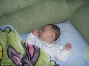 PIC_0024 (2)