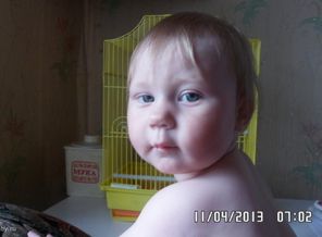SAM_1379