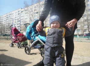 топтыжка