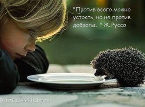 доброта