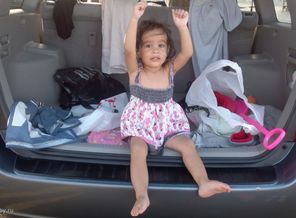 2012-08-15-334
