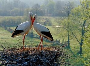 0_32649_7f6dc98c_XL
