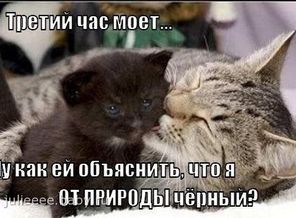 ))))