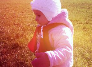 IMG_20131007_111810