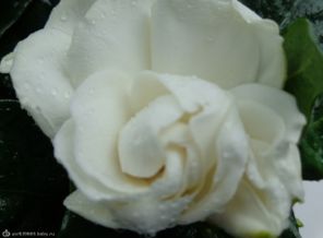 DSC00020