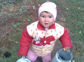 Fotos027