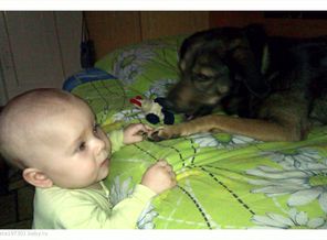 IMAG0387-1