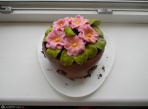 DSCN1395